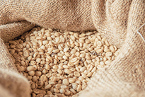 Practical Export Coordination for Kenyan Green Coffee